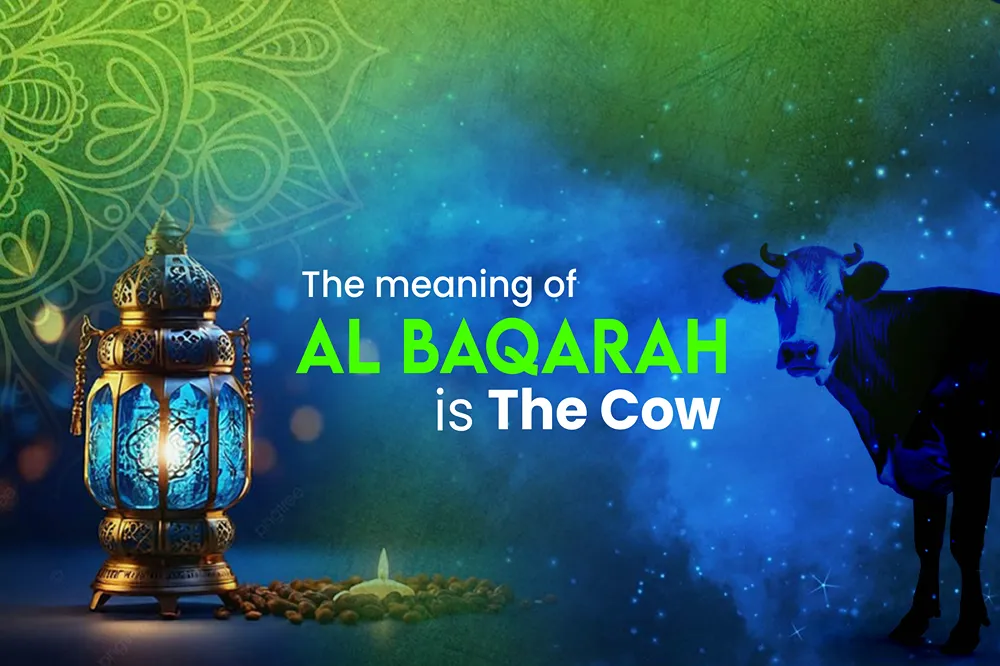 the meaning of al baqarah is the cow